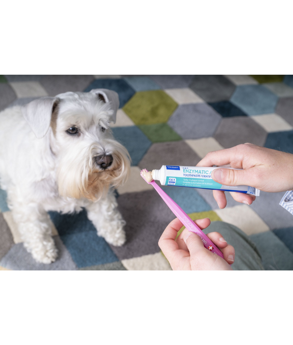 Virbac - ToothPaste Kit