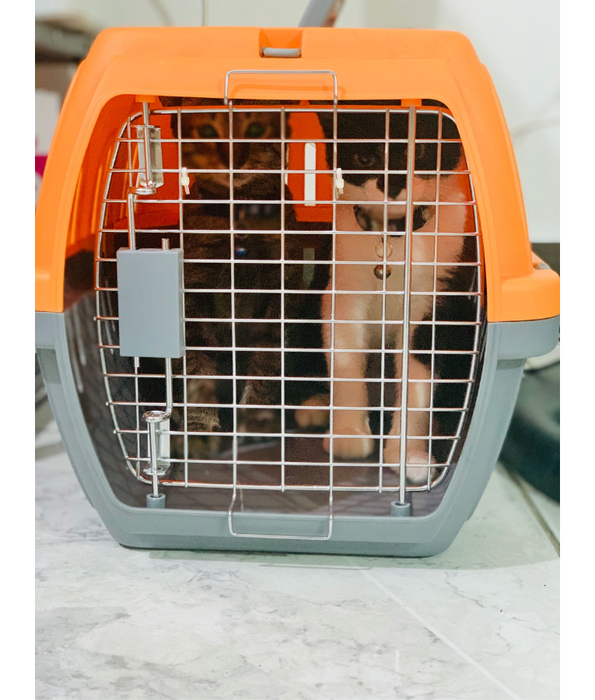 Travel Kennel Multicolour L48 x W30 x H28 cm