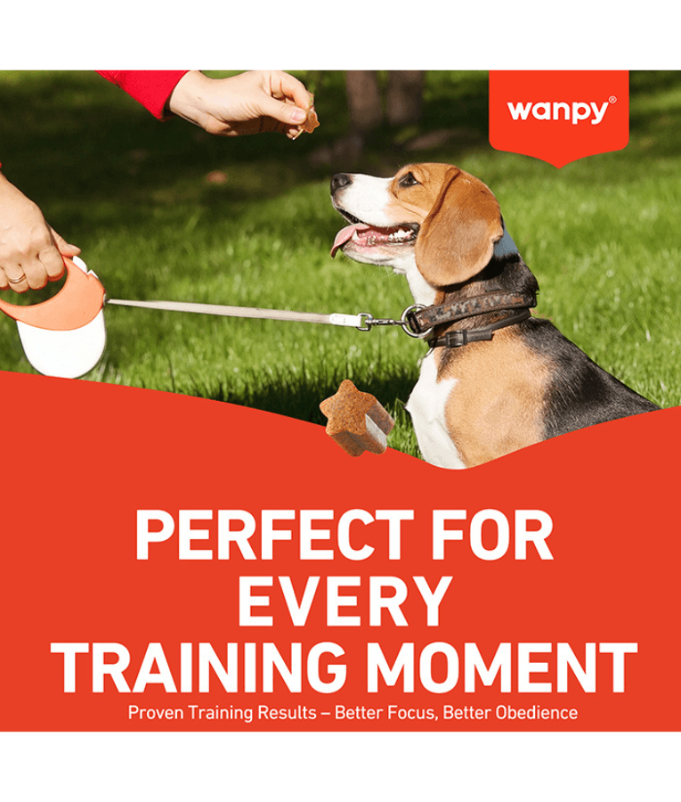 Wanpy - Training Bites Beef, High Protein, Low Fat, Soft Chewy, All Life Stages, All Breed Sizes - 100 g