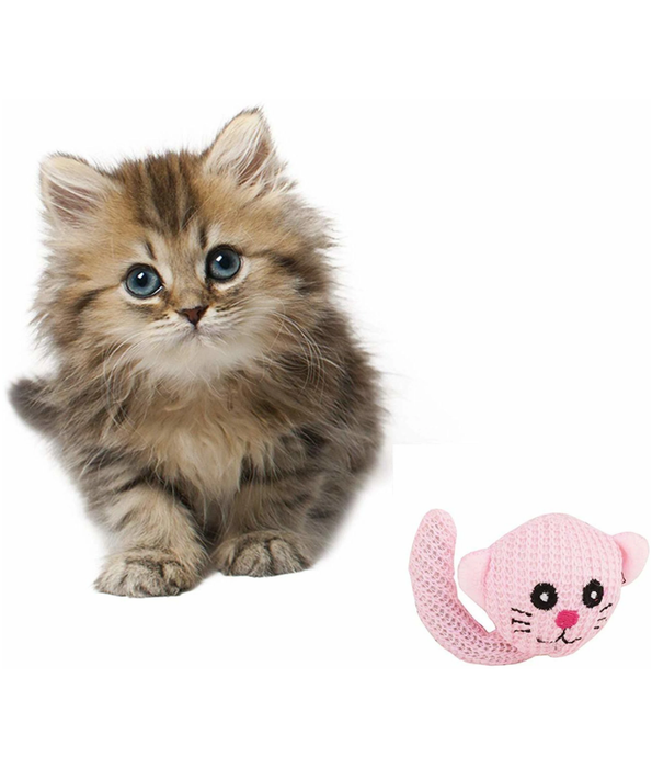 Pawise- Cat sock Toy