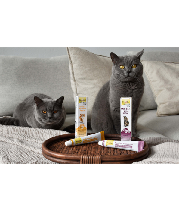 GimCat - Multi-Vitamin Paste, 13 Vitamins, Immune Support, Skin & Coat Health, All Life Stages 20g - 50g