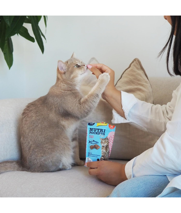 GimCat Nutri Pockets Fish With Salmon 60g