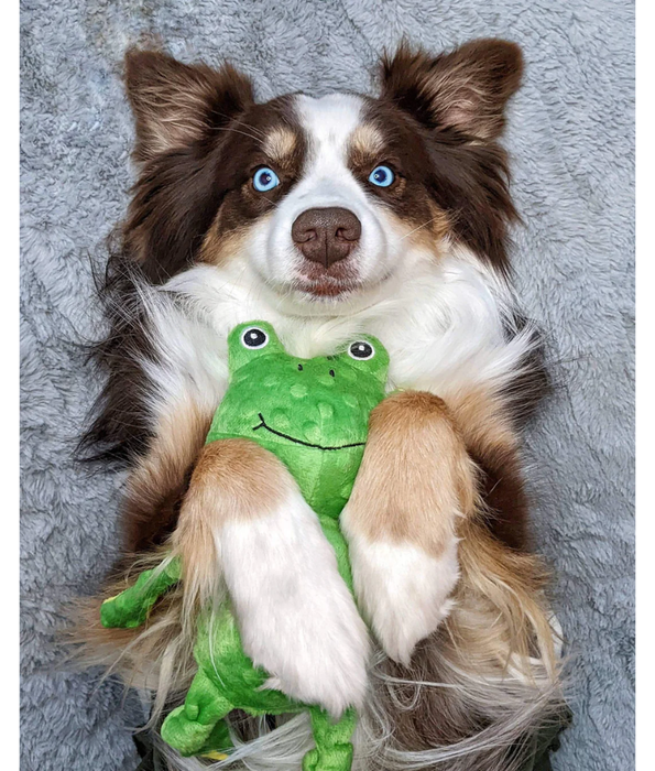 Spunky Pup - Furry Friends Plush Frog, Squeaky Crinkle Ball Dog Toy