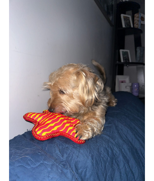 Spunky Pup - Starfish Clean Earth Plush Textured, Recycled Materials, Sustainable Floating Squeaky Dog Toy - Small