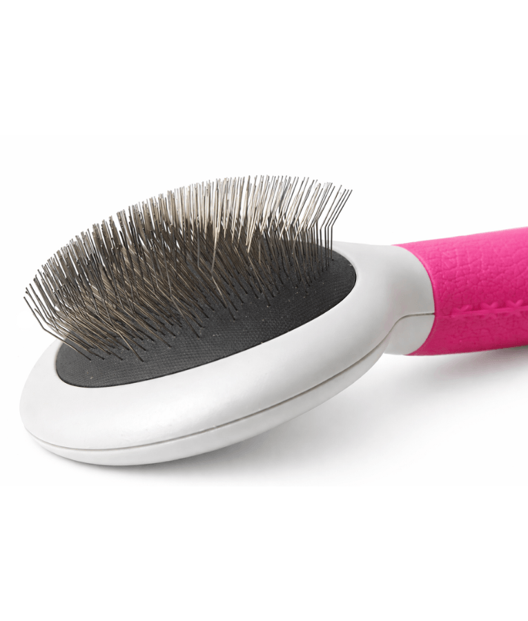 Inodorina - Grooming Carding Brush for Cats & Dogs, Medium Size with Curved Stainless Steel Teeth - L6 x 4.8W x 5H cm