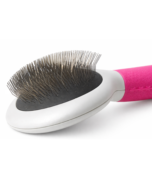 Inodorina - Grooming Carding Brush for Cats & Dogs, Medium Size with Curved Stainless Steel Teeth - L6 x 4.8W x 5H cm