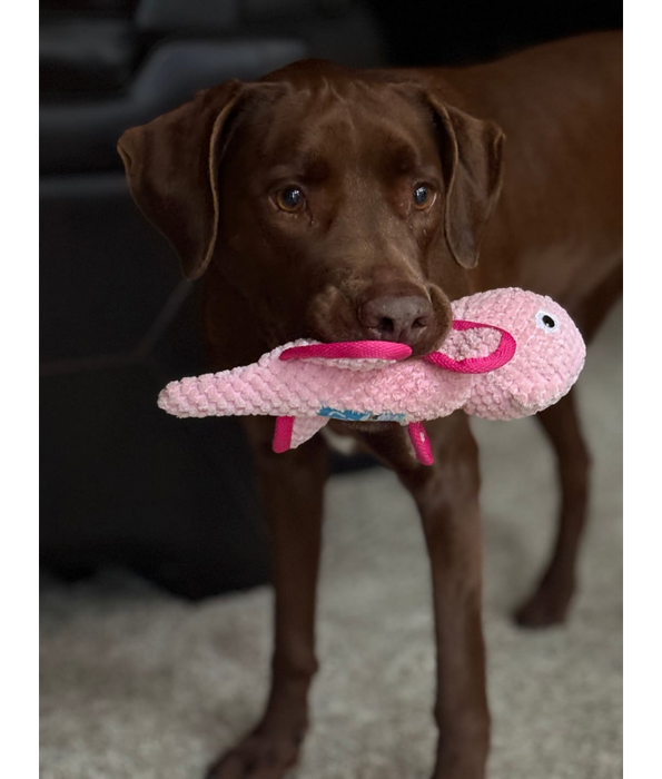 Spunky Pup - Chameleon Clean Earth Plush Textured, Recycled Materials - Sustainable Floating Squeaky Dog Toy