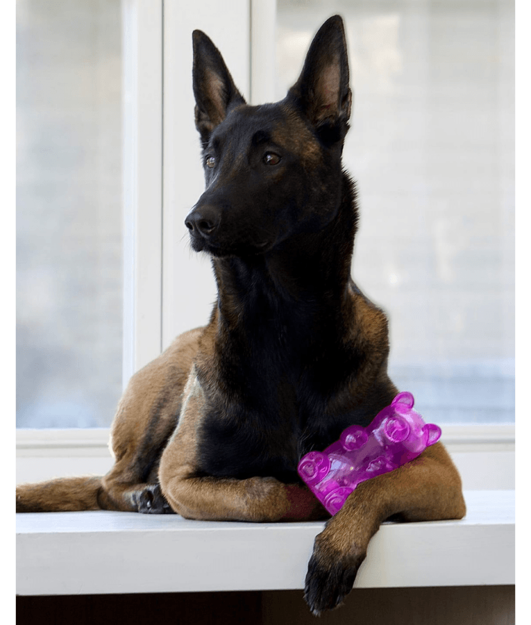 Spunky Pup - Gummy Bear Squeaky Toy, Non-Toxic Durable Rubber, Chew Toy for Dogs - Medium