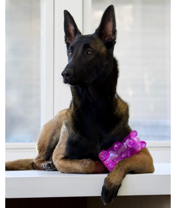 Spunky Pup - Gummy Bear Squeaky Toy, Non-Toxic Durable Rubber, Chew Toy for Dogs - Medium