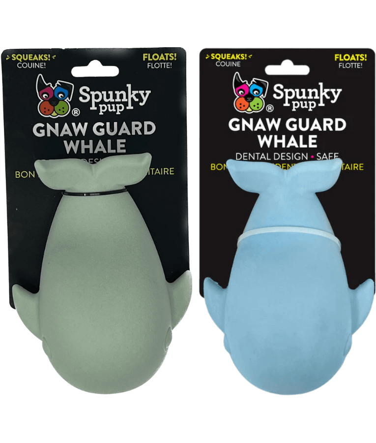 Spunky Pup - Gnaw Guard Whale Foam Toy, Textured Dental Chew, Floating Squeaky Dog Toy