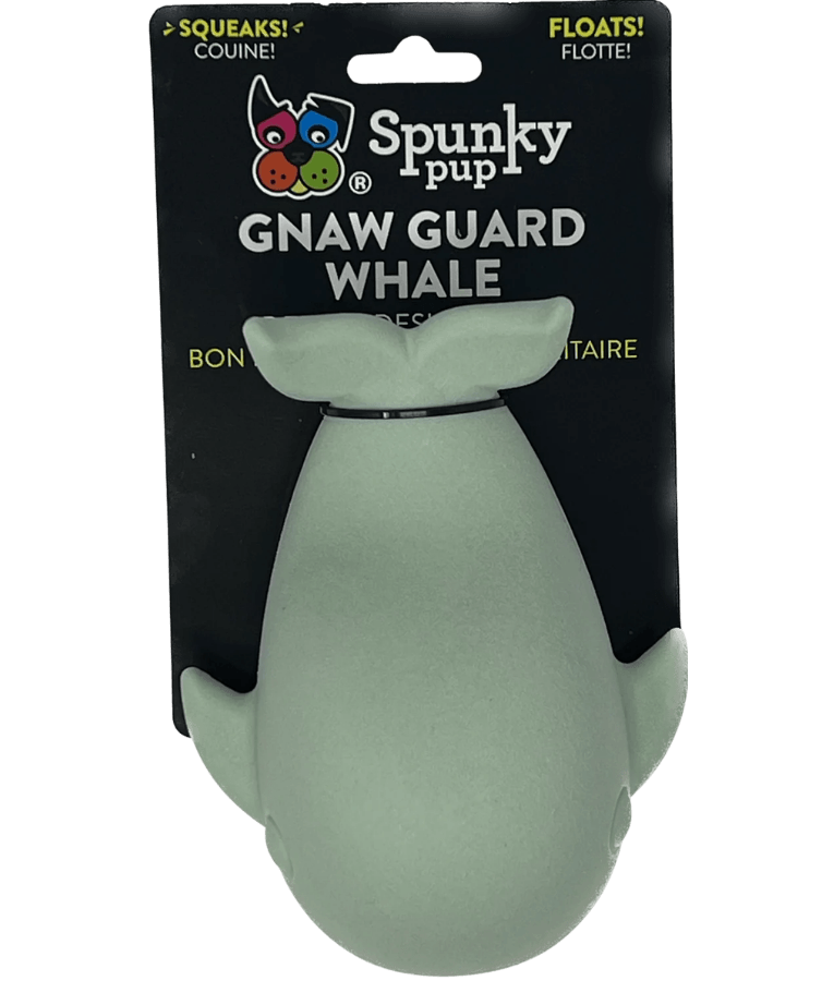 Spunky Pup - Gnaw Guard Whale Foam Toy, Textured Dental Chew, Floating Squeaky Dog Toy