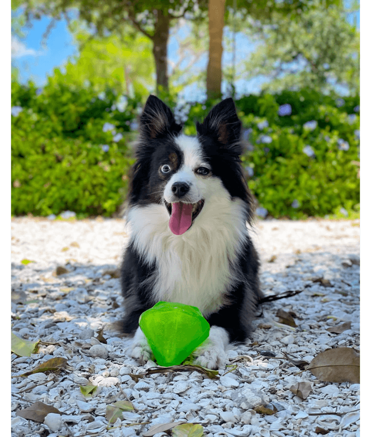 Spunky Pup - Squeaky Gems Diamond Toy, Durable Bouncy Chew - Floating Squeaky Dog Toy