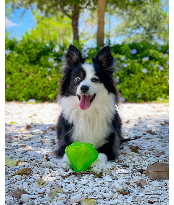 Spunky Pup - Squeaky Gems Diamond Toy, Durable Bouncy Chew - Floating Squeaky Dog Toy