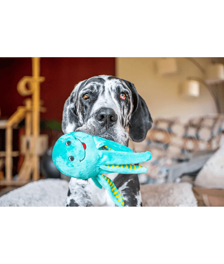 Spunky Pup - Octopus Clean Earth Plush Textured, Recycled Materials, Sustainable Floating Squeaky Dog Toy - Small