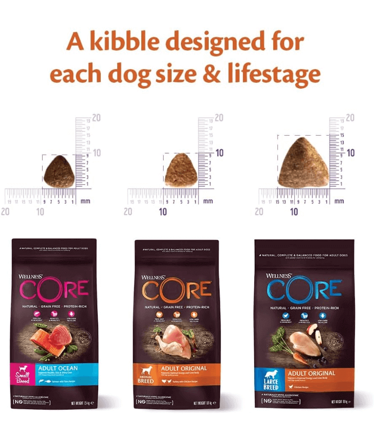 Wellness Core - Large Breed Adult Original chicken 10kg