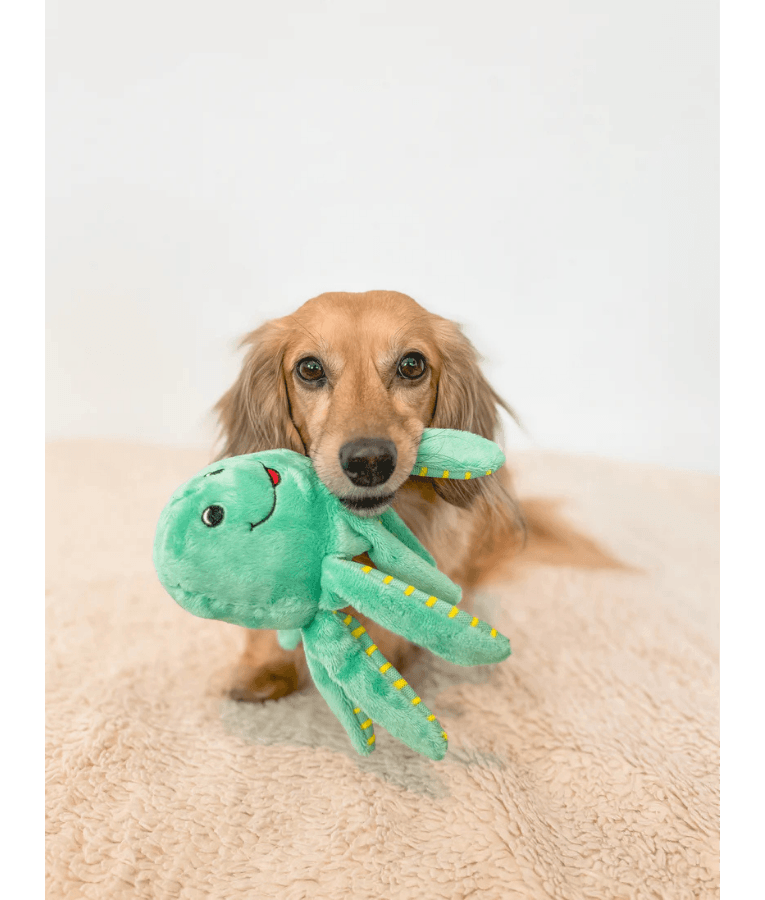 Spunky Pup - Octopus Clean Earth Plush Textured, Recycled Materials, Sustainable Floating Squeaky Dog Toy - Small