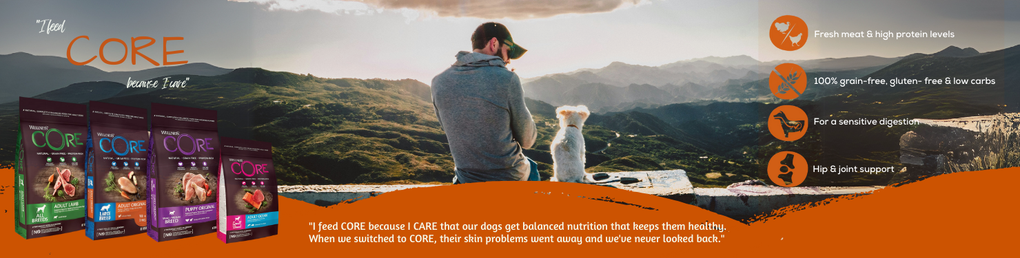 Wellness Core Banner Desktop