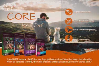 Wellness Core Banner Mobile