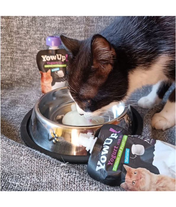 YowUp! - Yogurt for Cats, Skin & Hair, Salmon & Collagen, Omega 3 & 6, Low Fat - 85g
