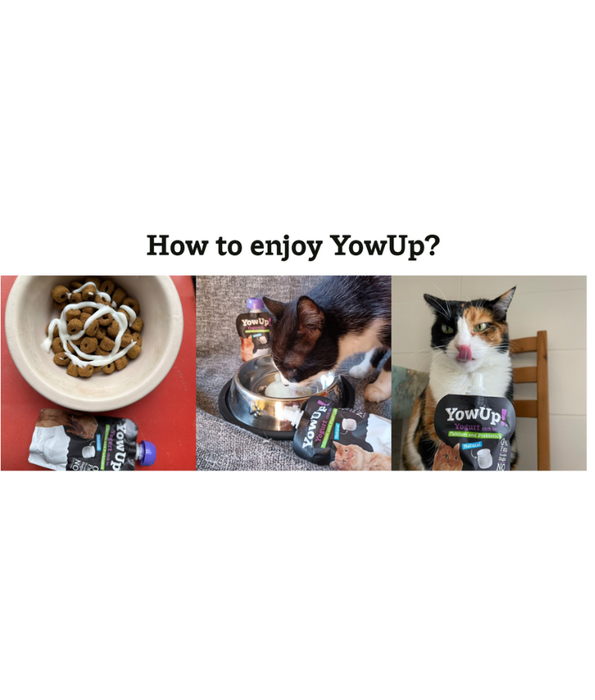 YowUp! - Yogurt for Cats, Skin & Hair, Salmon & Collagen, Omega 3 & 6, Low Fat - 85g
