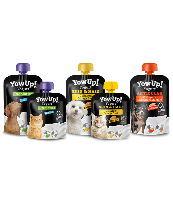 YowUp! - Yogurt for Dogs, Articular, Chicken & Collagen, Joint Support, 0% Fat, Lactose-Free - 115g