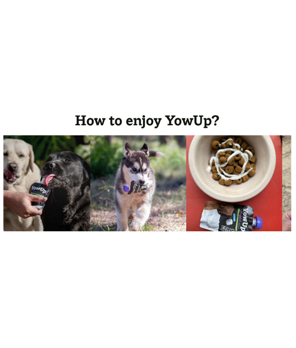YowUp! - Yogurt for Dogs, Articular, Chicken & Collagen, Joint Support, 0% Fat, Lactose-Free - 115g