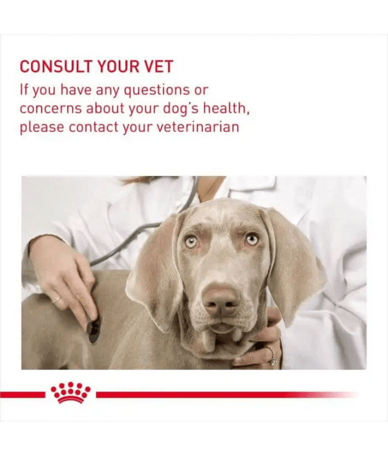 Royal Canin - Dermacomfort Maxi Dry Dog Food – Skin & Coat Care for Large Dogs - 12 kg