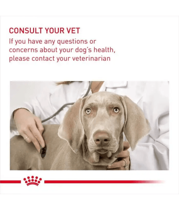 Royal Canin - Dermacomfort Maxi Dry Dog Food – Skin & Coat Care for Large Dogs - 12 kg