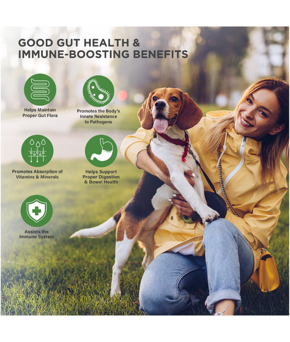 Veterinary Formula Solutions - Complete Probiotic Supplement - 30 Soft Chews