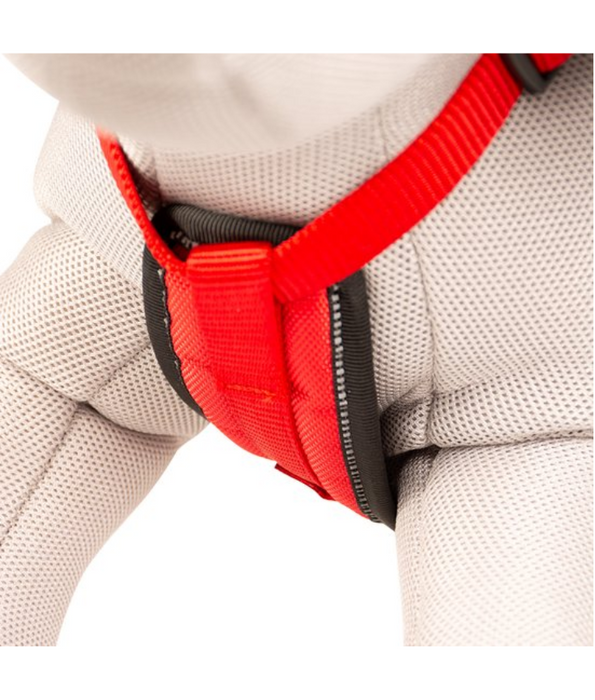 Duvo - EXPLOR NORTH Dog Harness - Red