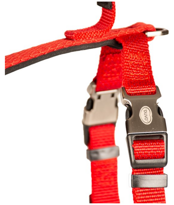 Duvo - EXPLOR NORTH Dog Harness - Red