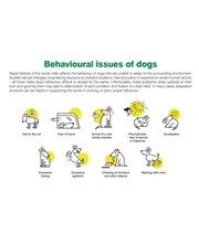 Dr Seidel Electric Adaptation Vaporizer For Dogs 37ml