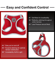 Doco - Athletica Quick Fit Dog Blue Harness
