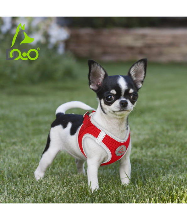 Doco - Athletica Quick Fit Dog Blue Harness