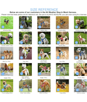 Doco - Athletica Quick Fit Dog Blue Harness