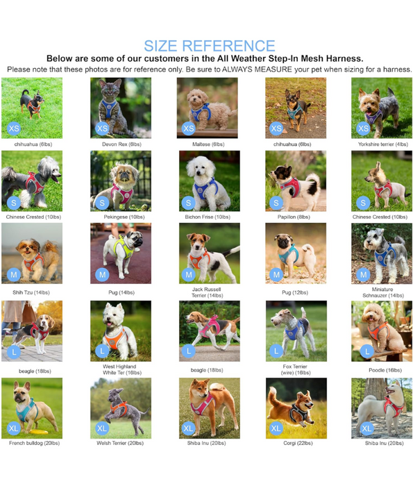 Doco - Athletica Quick Fit Dog Blue Harness