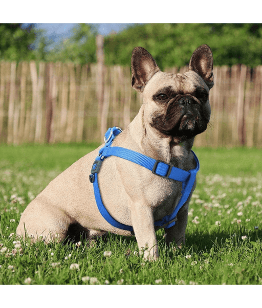 Doco - Signature Step-In Black Harness