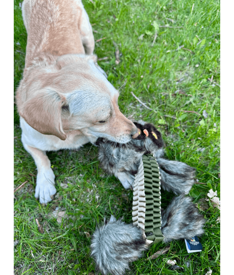 Spunky Pup - Wibbleez Outdoors Owl, Stretch & Squeak Plush Dog Toy