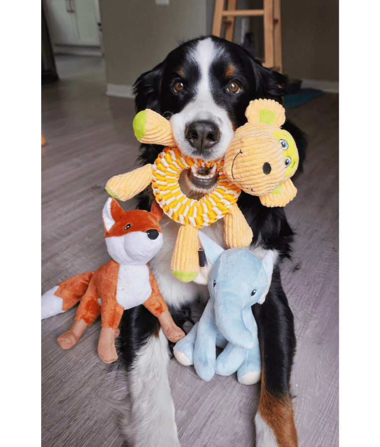 Spunky Pup - Wibbleez Round Monkey, Stretch & Squeak Plush Dog Toy