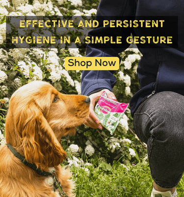 dog_Grooming_Care_375_x_400_px.png Petriotics