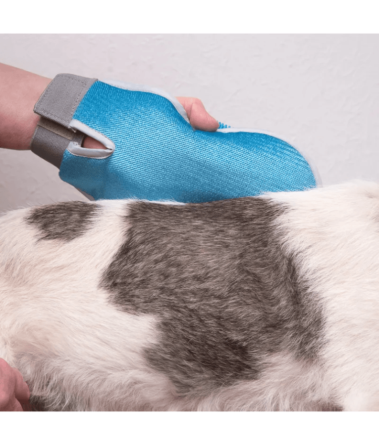 Pawise - Magic Grooming Glove, 2-in-1 Silicone Hair Removal & Massage Mitt, For Dogs & Cats