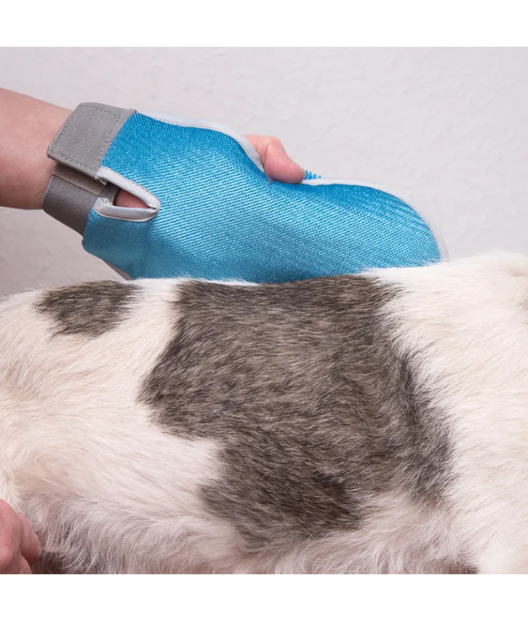 Pawise - Magic Grooming Glove, 2-in-1 Silicone Hair Removal & Massage Mitt, For Dogs & Cats