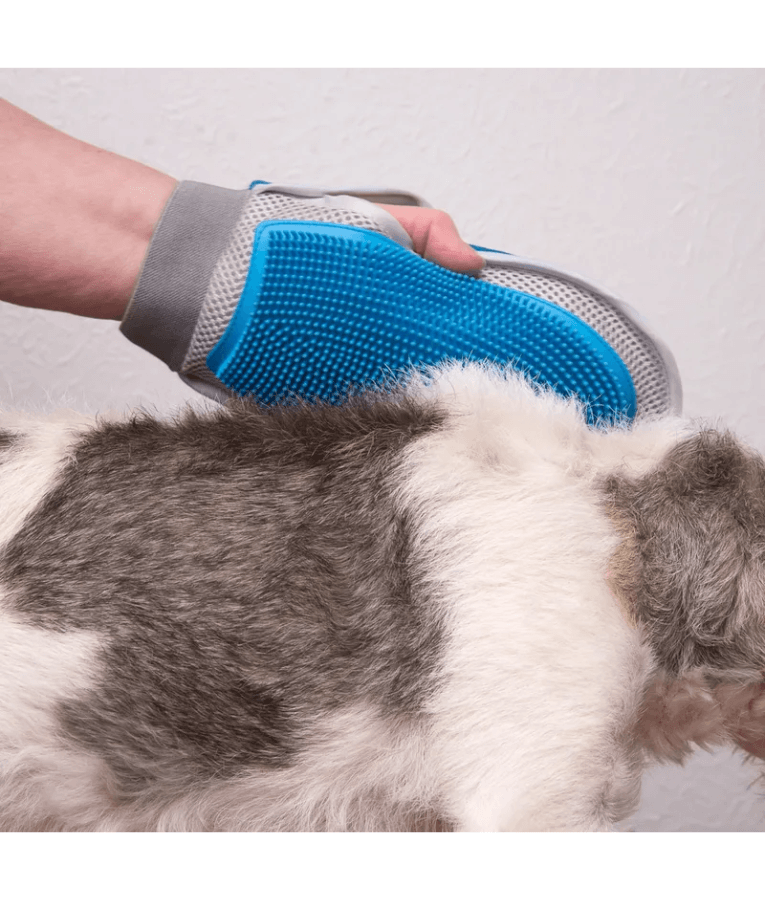 Pawise - Magic Grooming Glove, 2-in-1 Silicone Hair Removal & Massage Mitt, For Dogs & Cats