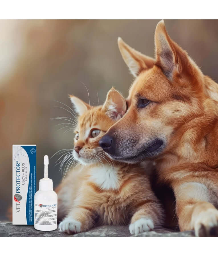 JM Sante - Vet Protector Ears Plus Ear Cleaning Solution, Antibacterial & Antifungal Formula, For Dogs & Cats - 50ml