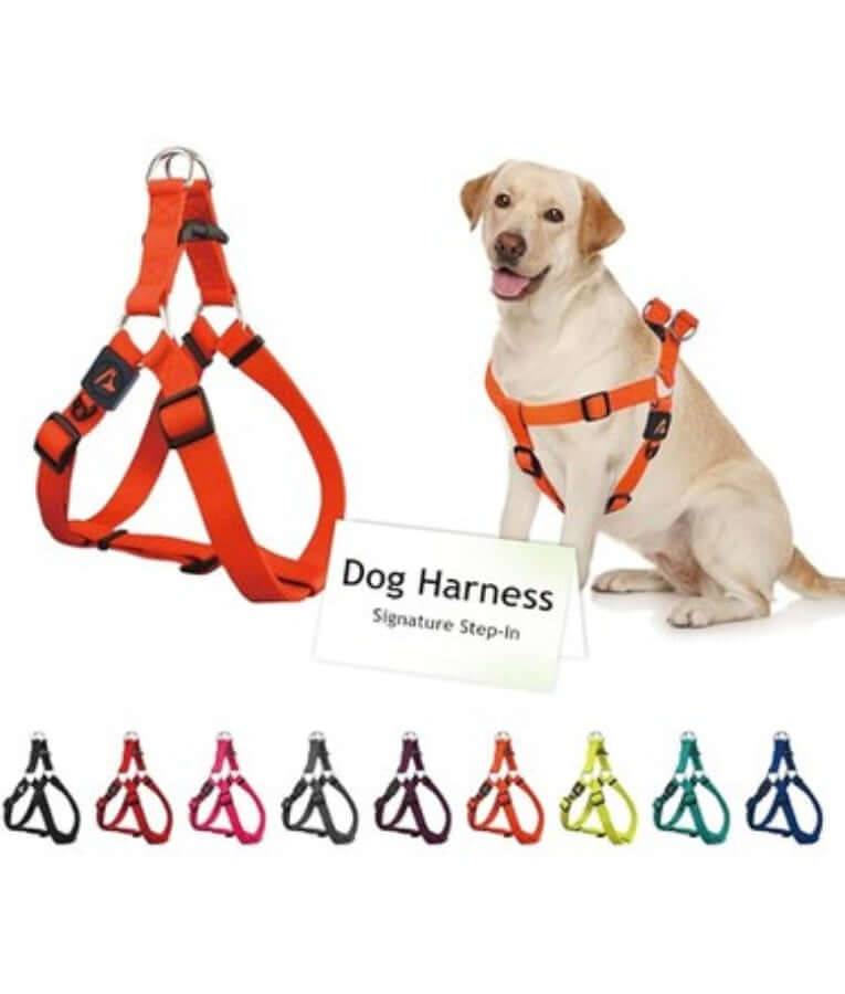 Doco - Signature Step-In Dog Harness Orange