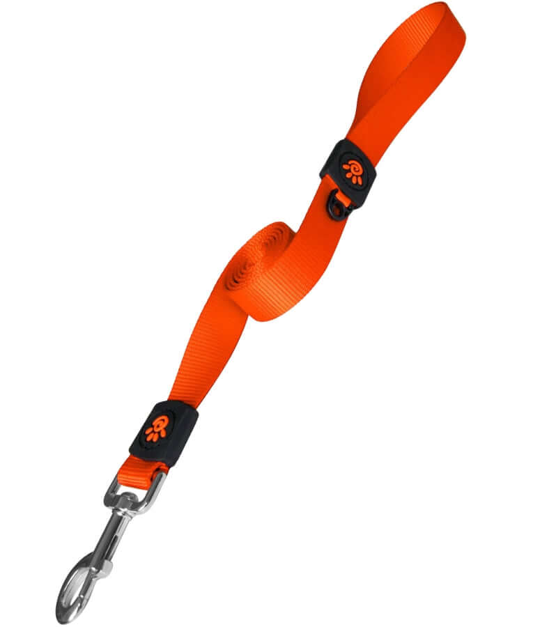 Doco - Nylon Leash Orange