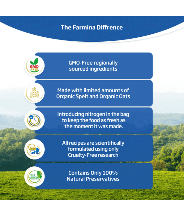 Farmina - N&D Ancestral Grain, Dry Dog Food – Chicken, Spelt, Oats & Pomegranate, Adult Medium & Maxi – 12kg + Free 3kg