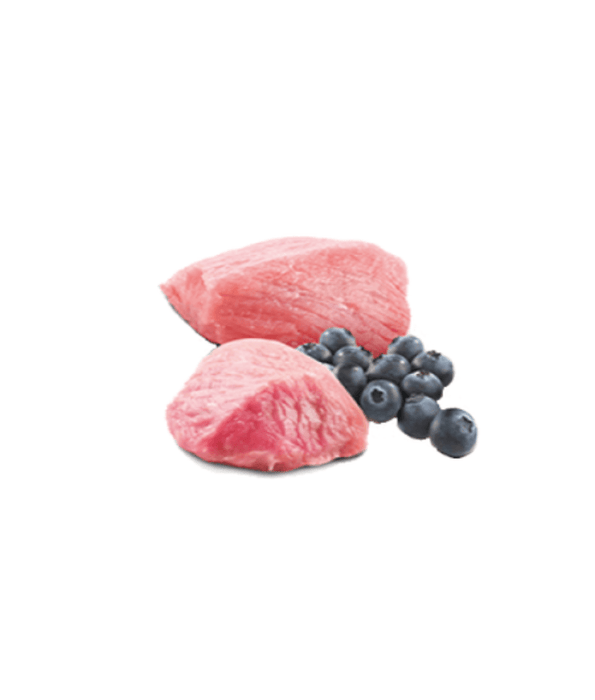 Farmina - N&D Lamb & Blueberry, Grain-Free, High Animal Protein, Low Glycemic, Adult All Breed Sizes Wet Dog Food - 285 g
