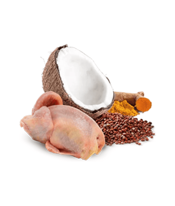 Farmina - N&D Quinoa ,Skin & Coat Quail & Coconut, Limited Ingredient, Omega Rich, Adult All Breed Sizes Wet Dog Food - 285 g