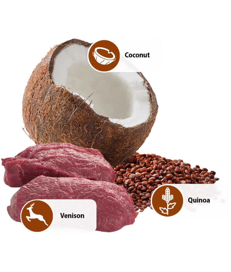 Farmina - N&D Quinoa Skin & Coat Venison & Coconut, Limited Ingredient, Omega Rich, Adult All Breed Sizes Wet Dog Food - 285 g